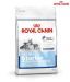 Maxi Starter (1 Kg) - Dog Food