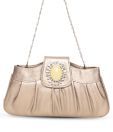 Favola Classy Silver-Bronze Brooch Clutch