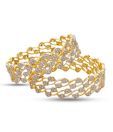 Ada Well Crafted CZ Designer Set Of 2 Bangles