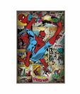 Marvel Comics - Spider Man Retro (24 x 36 Inches)