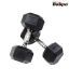 Baspo Hexagonal Dumbells 20 Kg(10 kg Each)