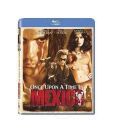 Desparado / El Mariachi / Once Upon A Time In Mexico (English) [Blu-ray]