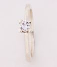 Lencia Fascinating CZ Studded Sterling Silver Ring