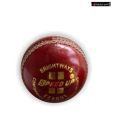 Speed Up Leather Ball