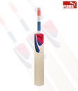 Puma Pulse 4000 English Willow Cricket Bat (Size 7)