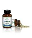 Organic India Immunity - 60 Capsules