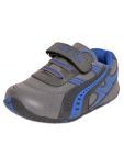 Little Frogs Grey & Blue Casual Shoes