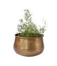 Live n Style Eye-catching Brass Finish Small Planter