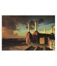 Pink Floyd (Animals) (24 x 36 Inches)