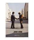 Pink Floyd (Wish You Were Here) (24 x 36 Inches)