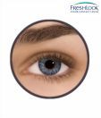 Freshlook one Day (10 Lenses Pack) Grey