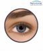 Freshlook Colour Blends (2 Lens Pack) Sterling Grey