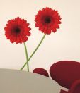 Plage MS Gerberas Wall Sticker