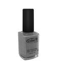Color Club Nyc Silver Glitter Nail Paint 15 ml