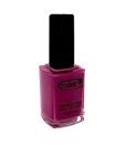 Color Club Nyc Winter Garden Nail Paint 15 ml