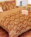Bombay Dyeing-La Rosa 100% Cotton Bed Sheet with 2 Pillow Covers
