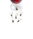 True Vino Wine Connoisseur Charms