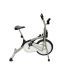 Cosco CEB-610 Fan Bike With Movable Handle Bar & Meter