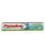 Pepsodent Gumcare 80 Gm