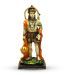Earth Standing Hanumanji Statue