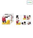 HitPlay Disney Coasters