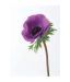 Artjini Purple Poppy Painting