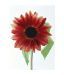 Artjini Bright Red Gerbera Painting