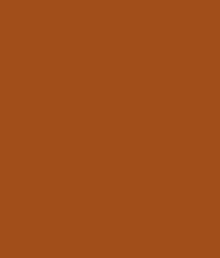 Asian Paints Apcolite Premium Enamel Gloss Golden Brown 0413 Asian Paints Apcolite Premium Enamel Gloss Golden Brown 0413 Rs 893 R In
