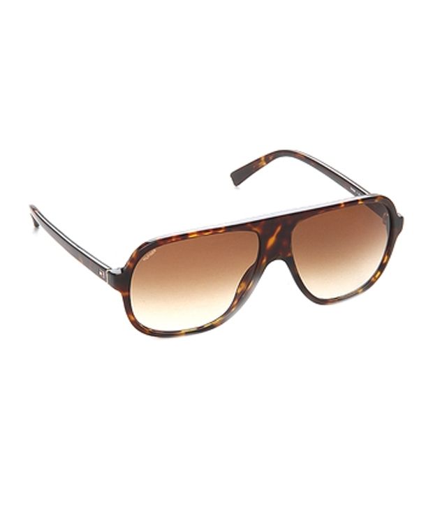 Tommy Hilfiger Brown Large Men Oval Sunglasses