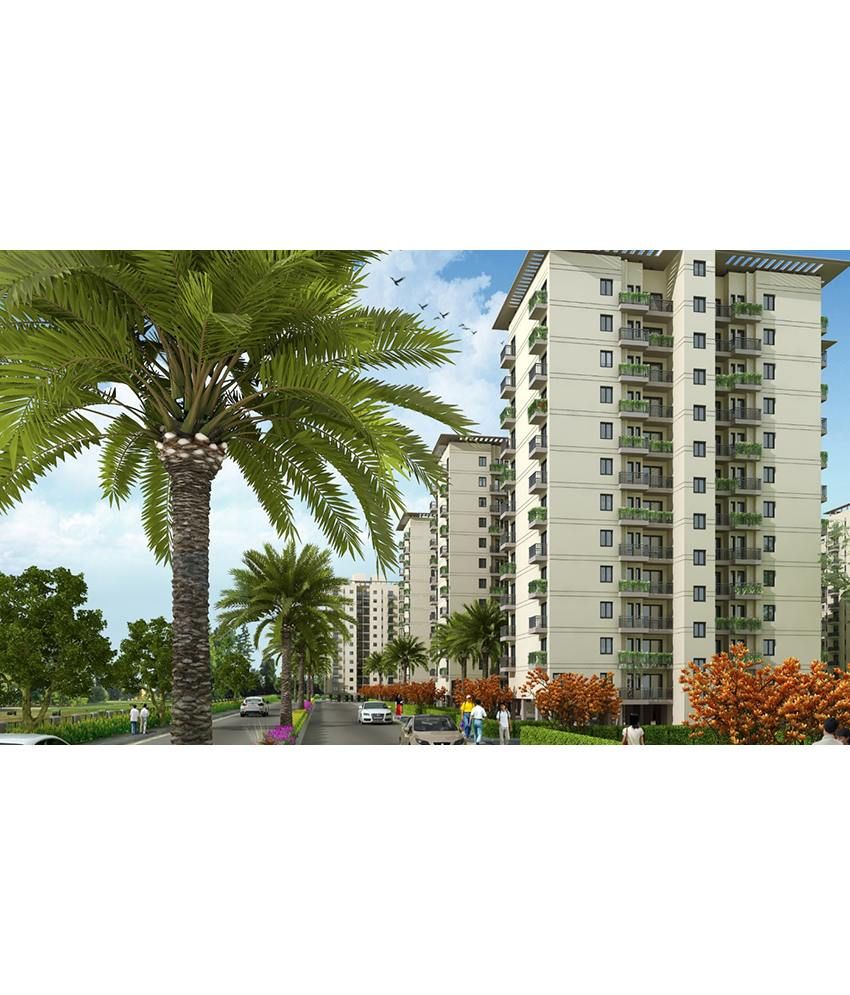 Woodland H