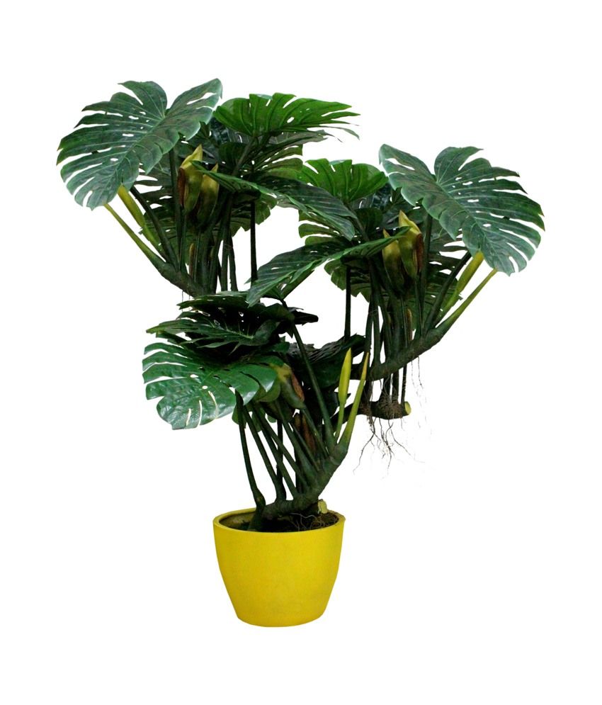 Green Era Monstera Artificial Plant Buy Green Era