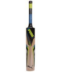 Puma Pulse 5000 13 Cricket Bat
