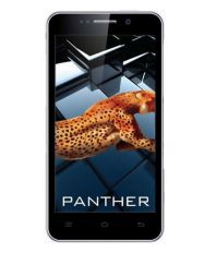 iBall Andi 5k Panther 8GB Wine
