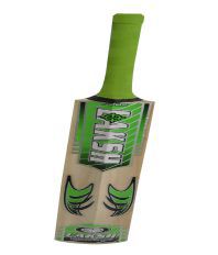 RSM Kashmir Willow Cricket Bat with Cover