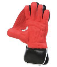 BDM Matador Wicket Keeping Gloves