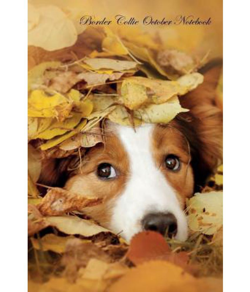 Border Collie October Notebook Border Collie Record, Log, diary, Special Memories, To Do List, Academic Notepad, Scrapbook & More available at snapdeal for Rs.7