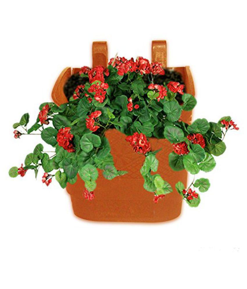 Pepper Agro Vertical Garden Wall Hanging (terracotta, 10 Qty) available at snapdeal for Rs.550