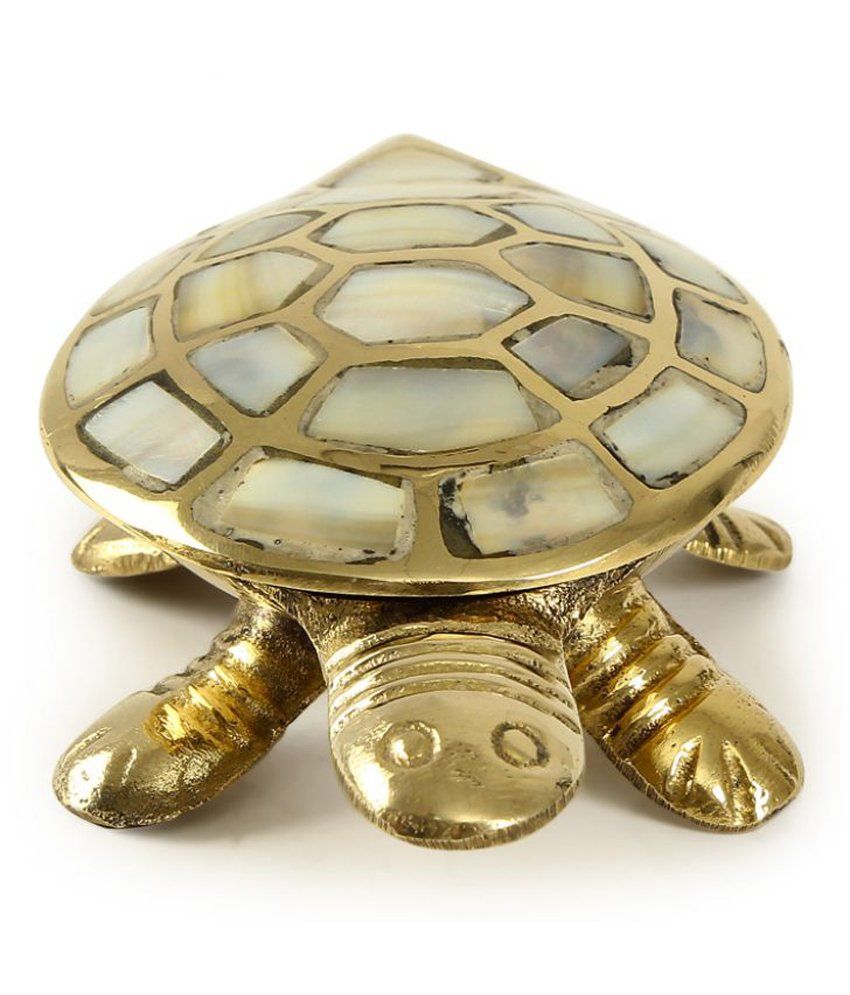 Being Nawab Oyster Shell Fengshui Tortoise Showpiece - 4 Cm: Buy Being 