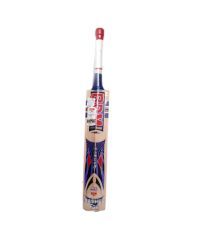 BDM Dasher T-20 English willow cricket bat Nurtured in India