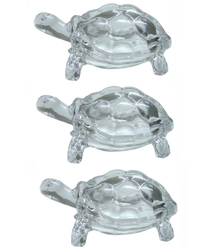     			Arr Solutions Glossy Glass Feng Shui Tortoise- Pack Of 3