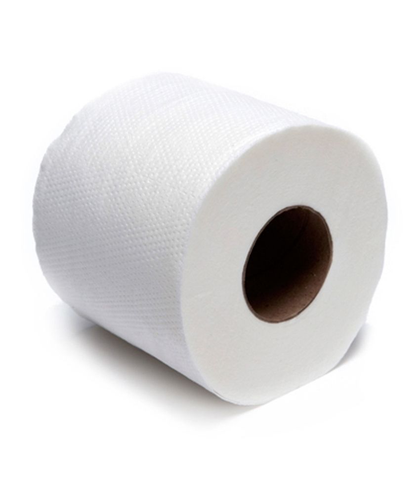 Clean & Shine Toilet Tissue Paper - Pack Of 17: Buy Online ...