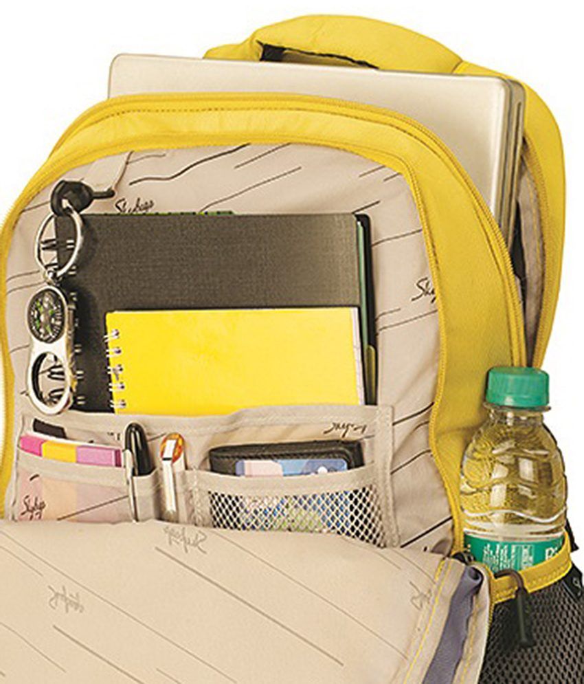 skybags flash