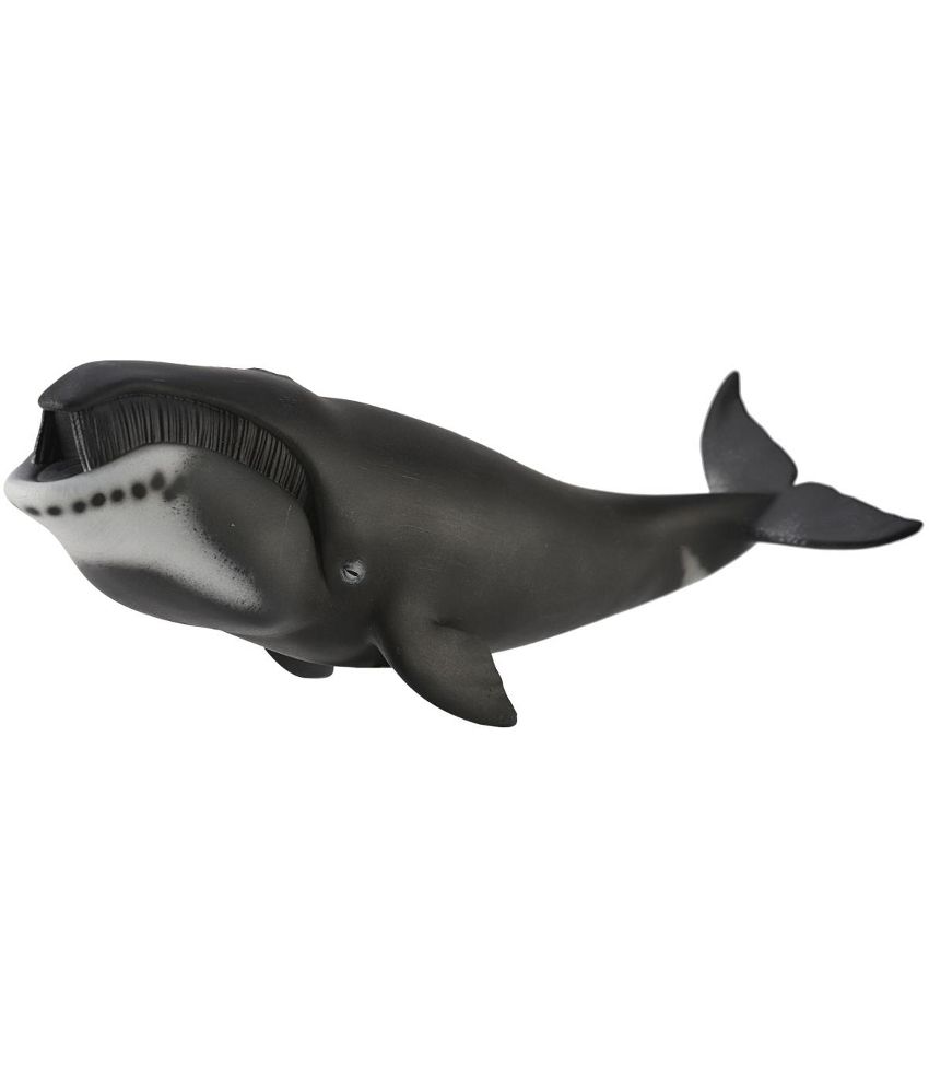 Collecta Bowhead Whale - Buy Collecta Bowhead Whale Online at Low Price