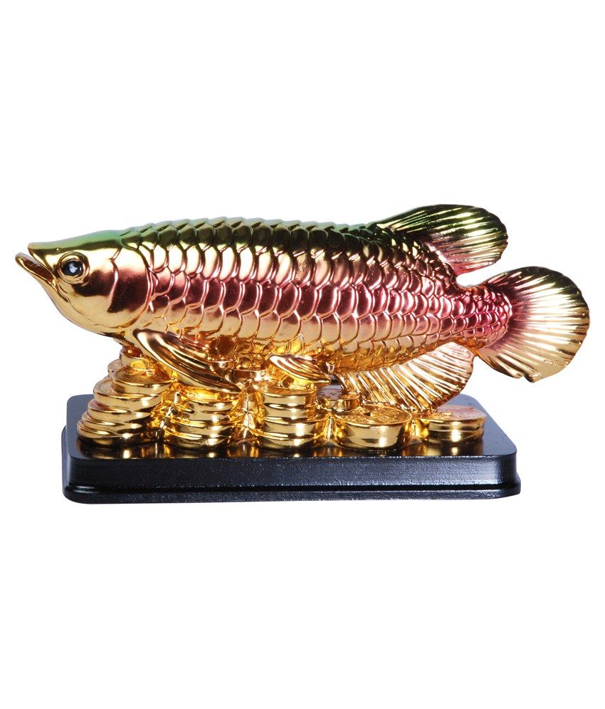     			Astro Gallery Fengshui Arowana On Bed Of Wealth Colorful