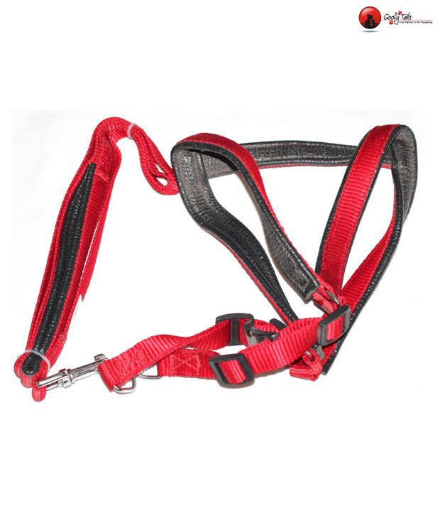Body Set-Leash+Harness- 1Inch(Leather) - Dog Leash and Harness