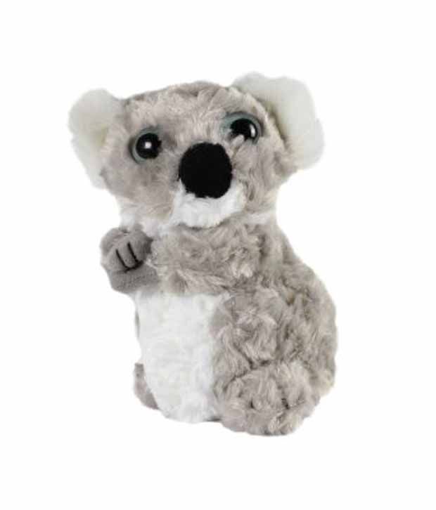 koala soft toy kmart