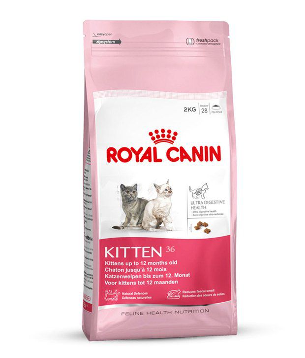 Royal Canin Kitten-36 0.4 Kg: Buy Royal Canin Kitten-36 0.4 Kg Online