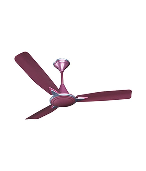 Crompton Greaves Amour 1200 Mm Ceiling Fan Lavender Price In India