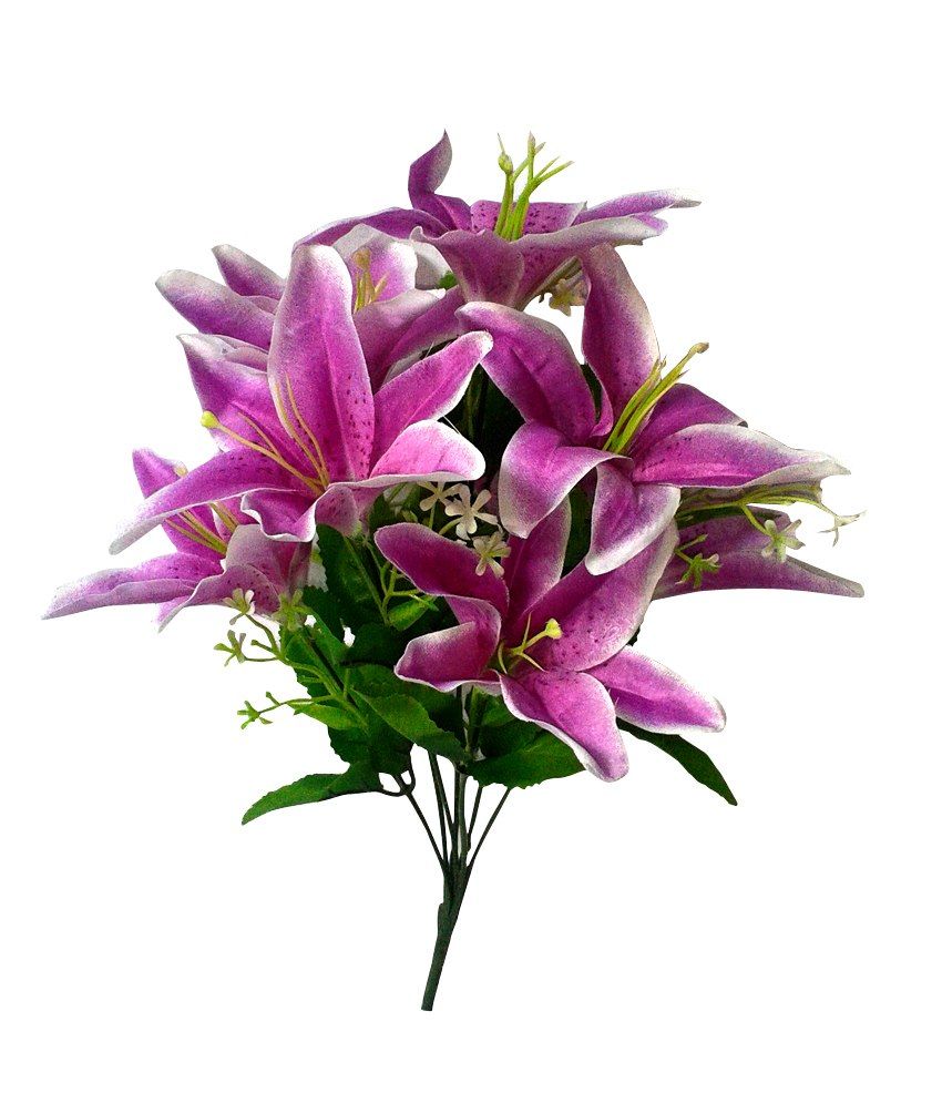 Bhandari Plants Purple Lily Flower Bouquet: Buy Bhandari Plants Purple ...