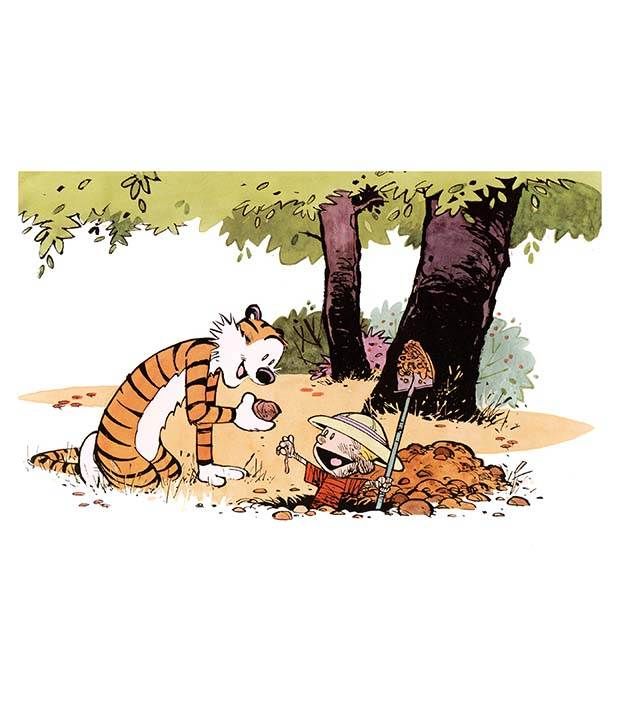 Artifa Calvin And Hobbes Poster Buy Artifa Calvin And Hobbes Poster At Best Price In India On 